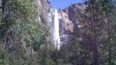Amazing Yosemite Experience with Snowshoe John