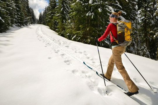 Half-Day Guided Backcountry Ski Touring Experience near Incline Village