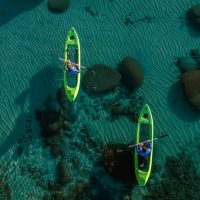 Glass Bottom Boat Tours