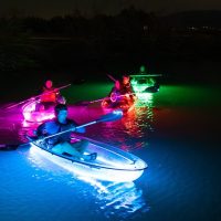 Glass Bottom Boat Tours
