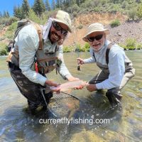 Fishing Charters & Tours