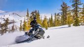 Family Snowmobile Tour